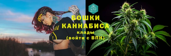 соль ск Белокуриха