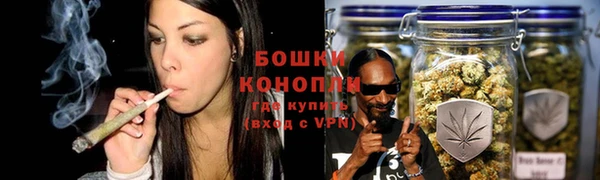 соль ск Белокуриха