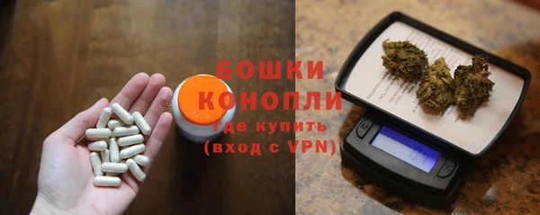 стаф Сатка