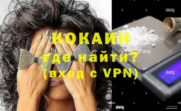 гашик Белоозёрский