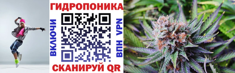 MEGA маркетплейс Шарыпово Бошки Шишки SATIVA & INDICA